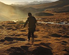 枯木上的乌尔朵