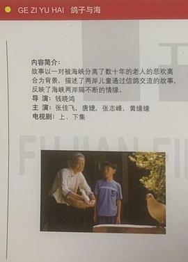 鸽子与海