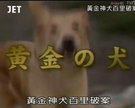 黄金神犬百里破案 黄金の犬