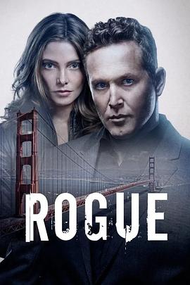 卧底情劫 第四季 Rogue Season 4