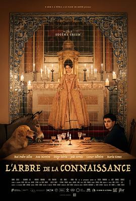 知识之树 A Árvore do Conhecimento