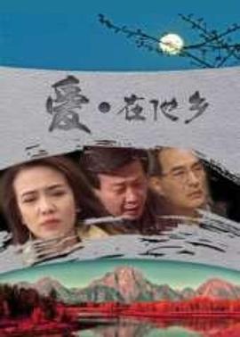 爱在他乡 愛在他鄉