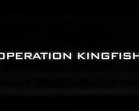 寻找马卡洛夫：石首鱼行动 Call of Duty: Operation Kingfish