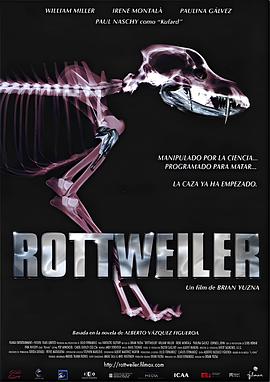 罗纳威犬 Rottweiler