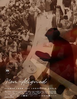 不结盟：拉布多维奇的胶片纪录 Non-Aligned: Scenes from the Labudović Reels