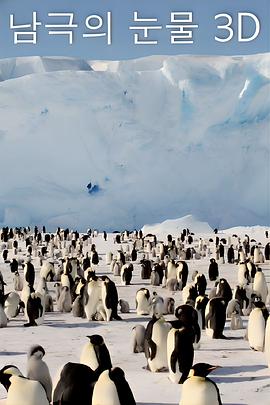 南极之泪 남극의 눈물 3D