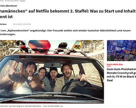 哥们到中年 第二季 Alphamännchen staffel 2