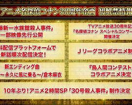 名侦探柯南：30号杀人事件 名探偵コナン 30号殺人事件