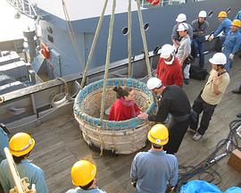 马修·巴尼：百无禁忌 Matthew Barney: No Restraint