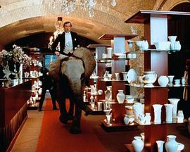 大鼻子的大问题 Der Elefant in meinem Bett