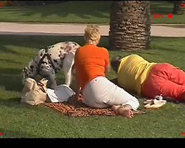 快樂的日子 Laiminga Diena