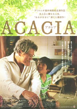 合欢开放之时 ACACIA