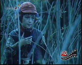 塑料球 Plumbi prej plasteline