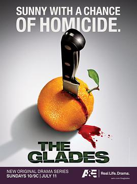 血迷棕榈 第一季 The Glades Season 1